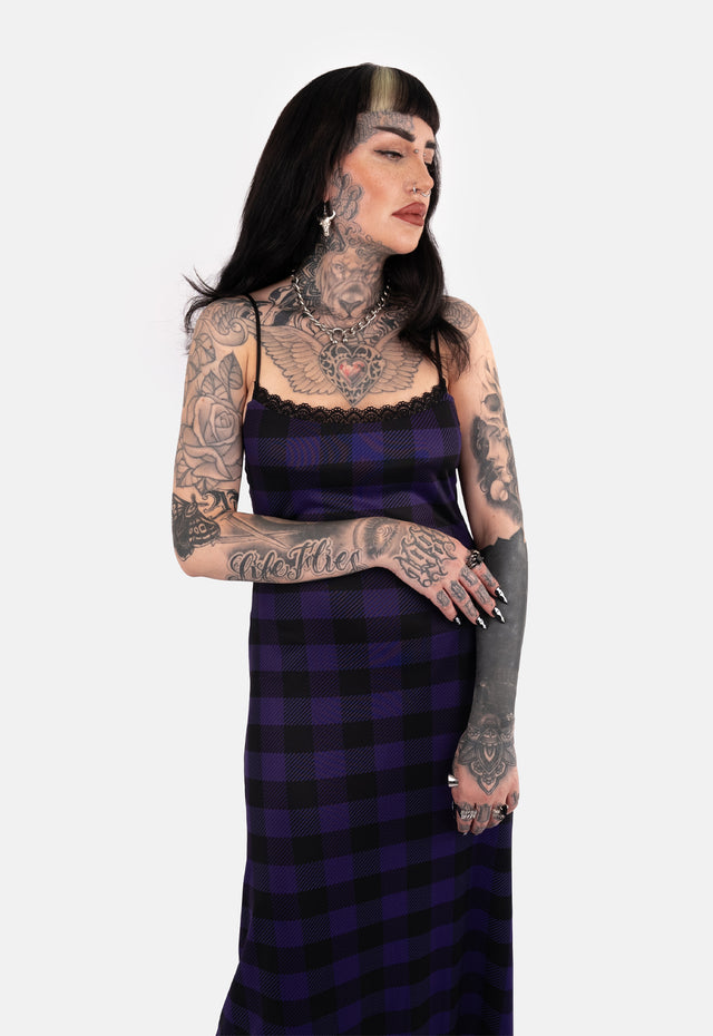 Ambrosia Mesh Maxi Dress