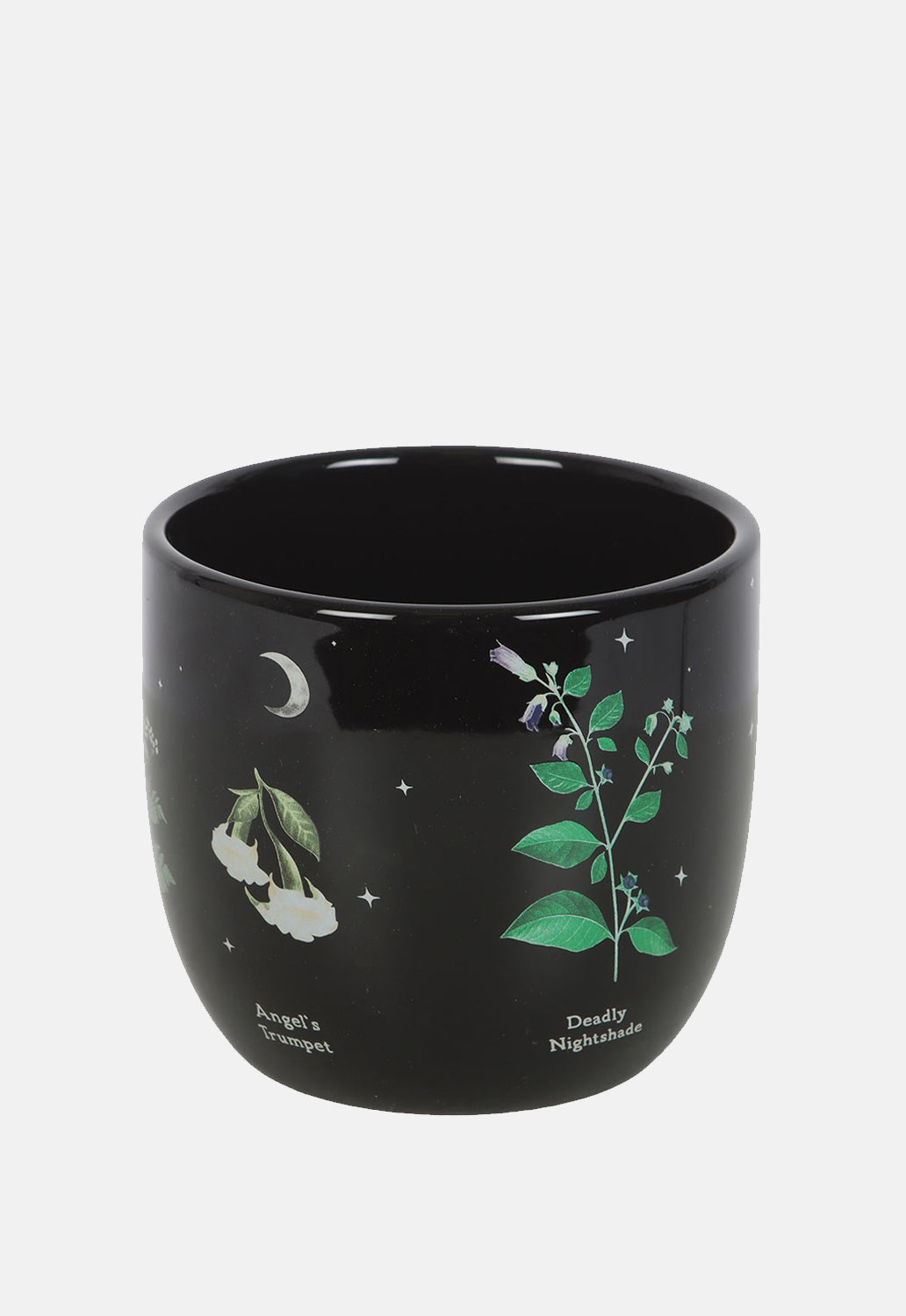 Poisonous Plants Plant Pot