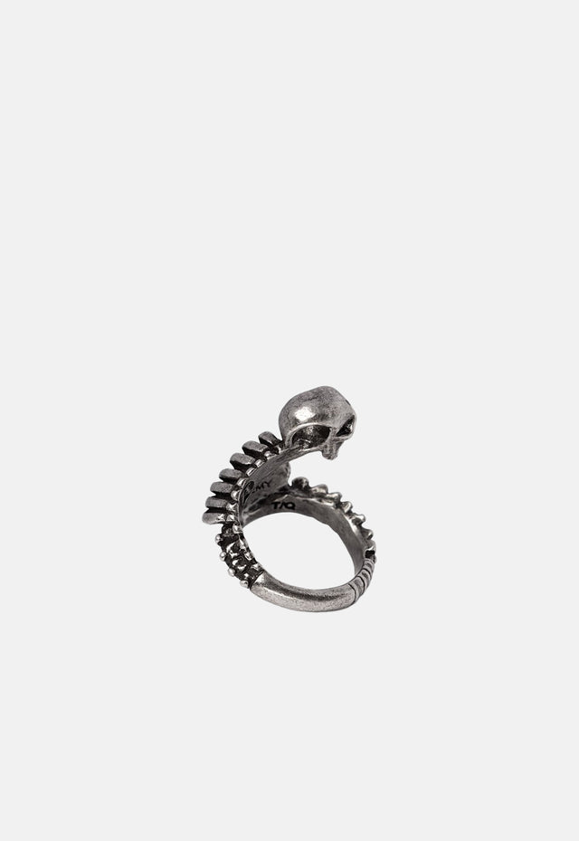 Resurrected Ring