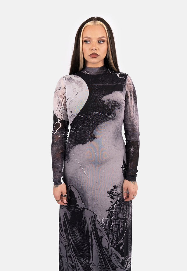 Ursula Printed Mesh Maxi Dress