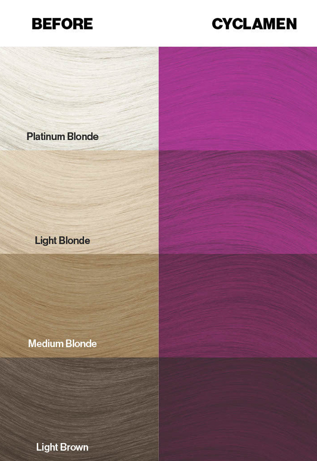Cyclamen Hair Dye