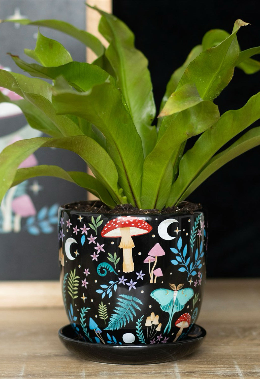 Dark Forest Plant Pot With Saucer