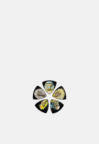 Classic Albums Plectrum Pack