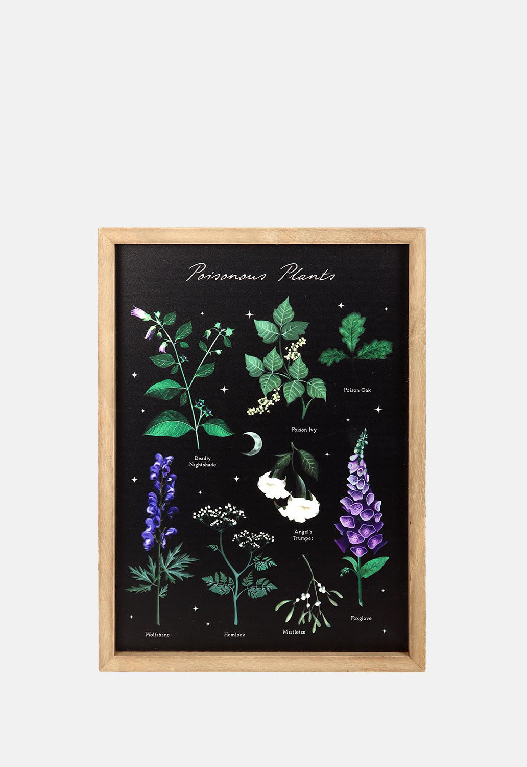 Poisonous Plants Framed Print