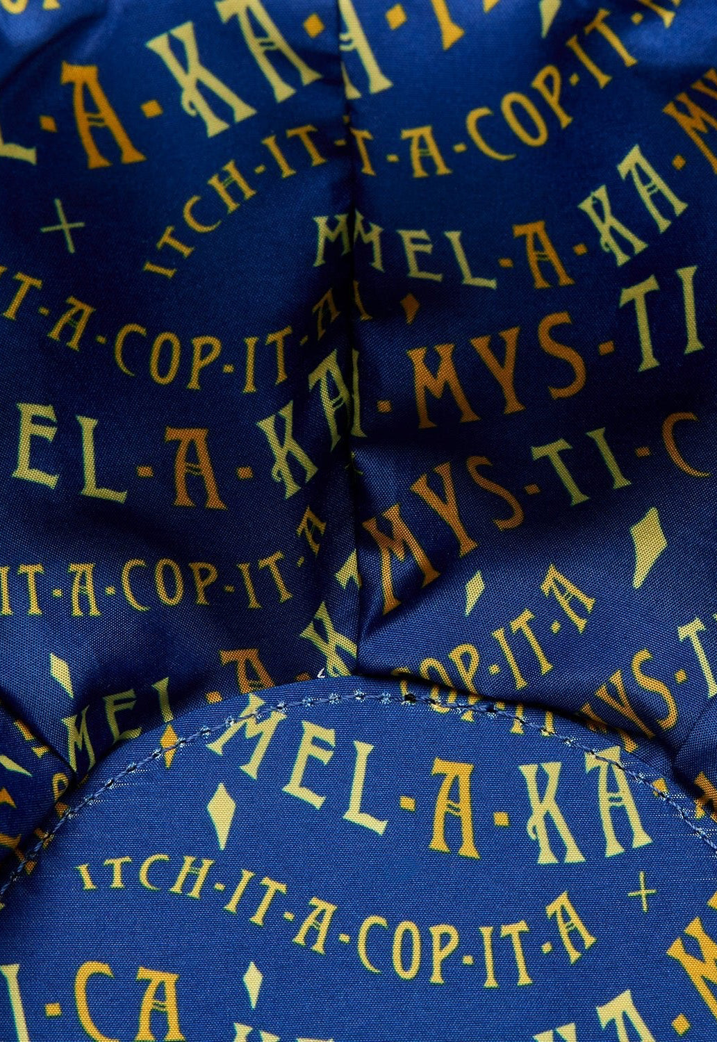 Sanderson Sisters Flying Dome