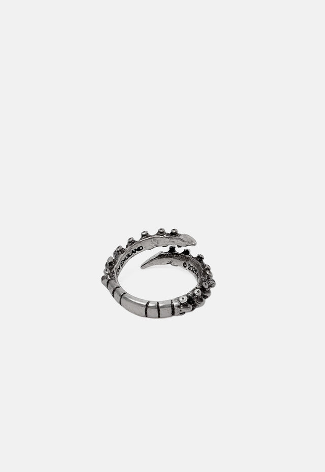 Spine Ring