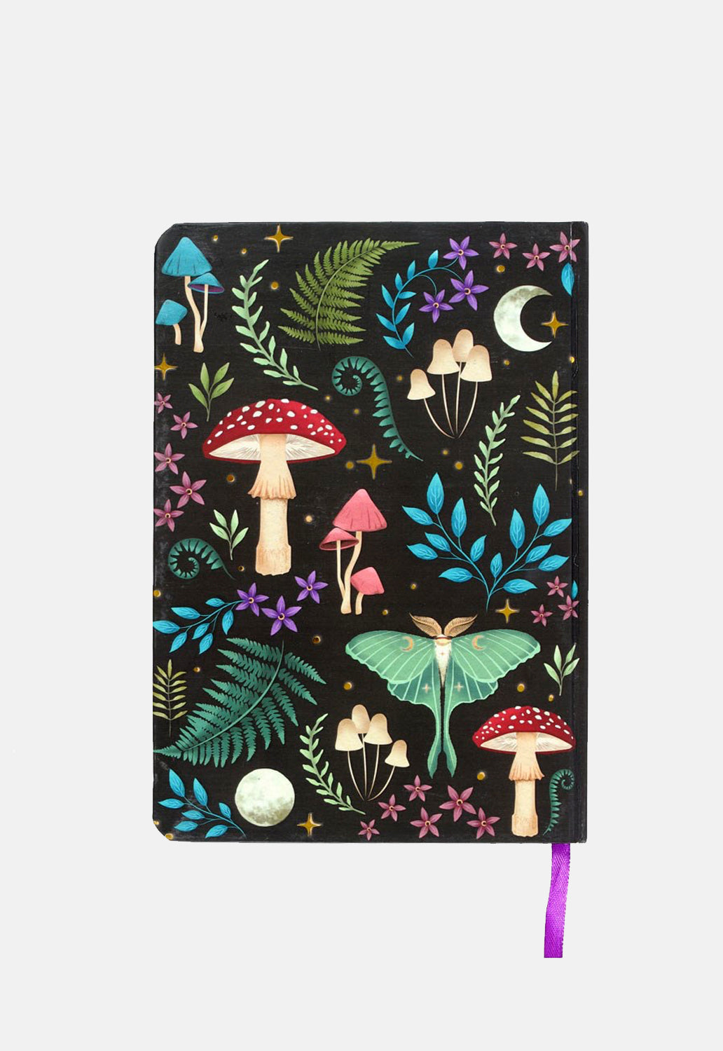 Dark Forest Notebook