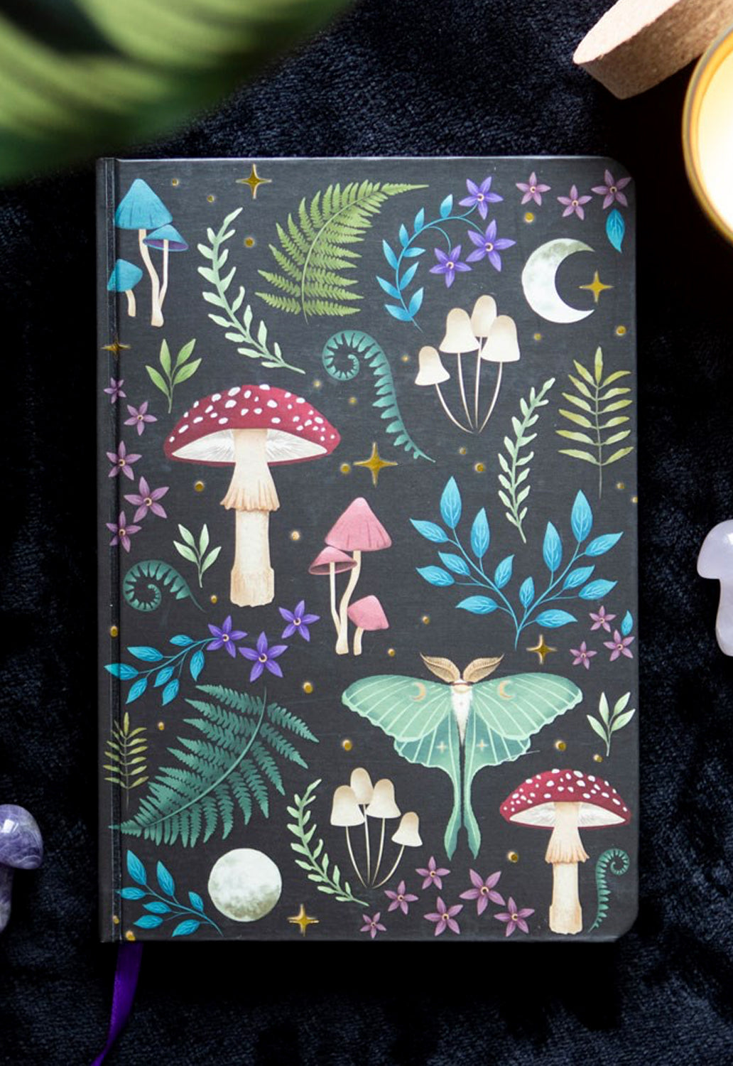 Dark Forest Notebook