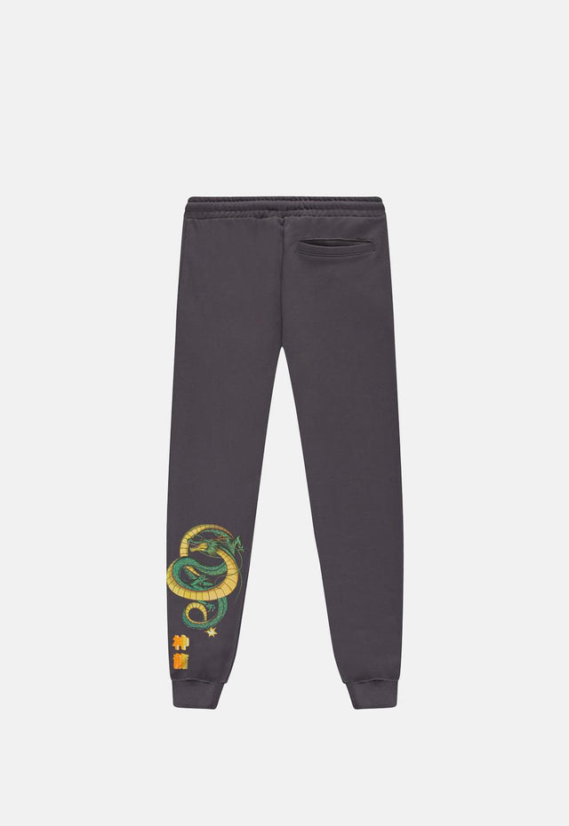 Shenron Joggers