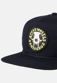 Skull Snapback