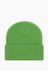 Logo Green Beanie