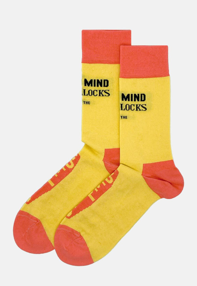 Never Mind The Bollocks Socks