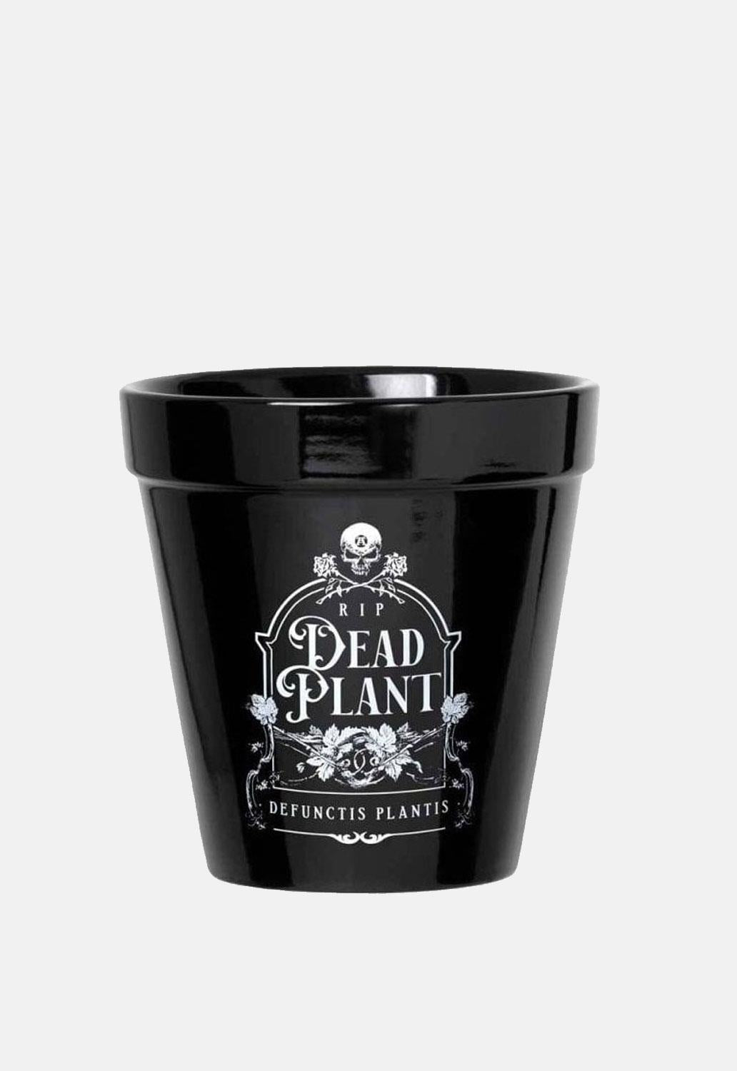 Dead Plant Plant Pot