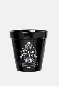 Dead Plant Plant Pot